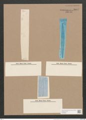 Pleurosigma intermedium W.Sm. (de-Toni-Nr.: Genus 13, Species 1004) Zeichnungen Sammlung Grunow Nr. 2037 (NHMW-BOT-W0368891)